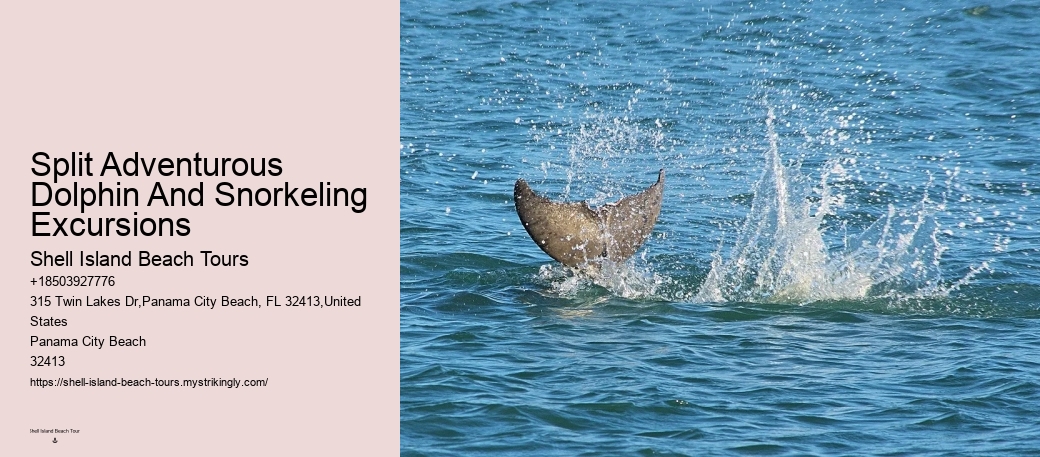 Salty Mary Dolphin And Snorkel Tours Reviews