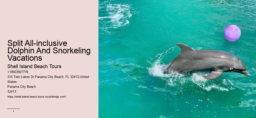 How To Swim With Dolphins