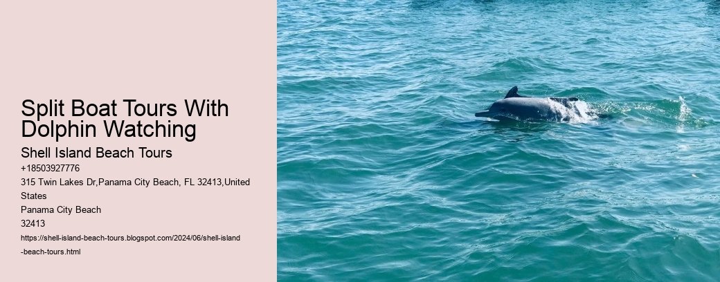 Split Boat Tours With Dolphin Watching