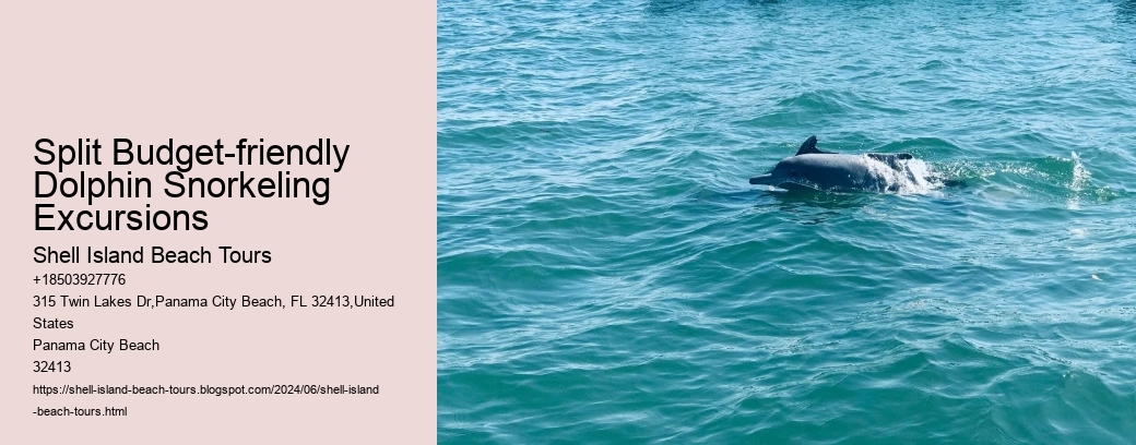 Split Budget-friendly Dolphin Snorkeling Excursions