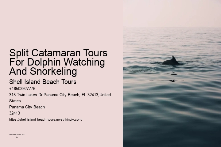 Split Customizable Dolphin And Snorkeling Packages