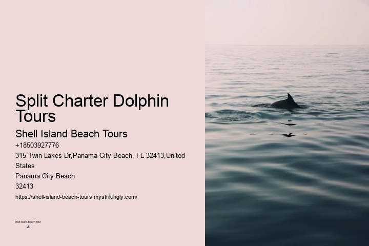 Dolphin Watching Split