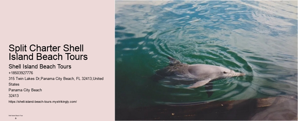 Can Dolphins Smell Fear
