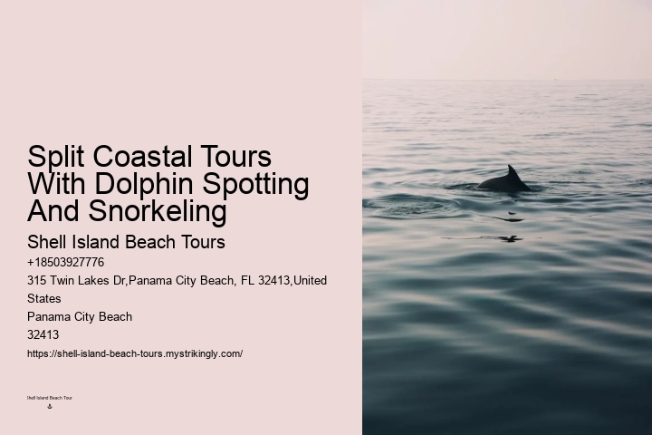 Split Guided Snorkel And Dolphin Watching