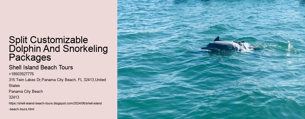 Split Customizable Dolphin And Snorkeling Packages