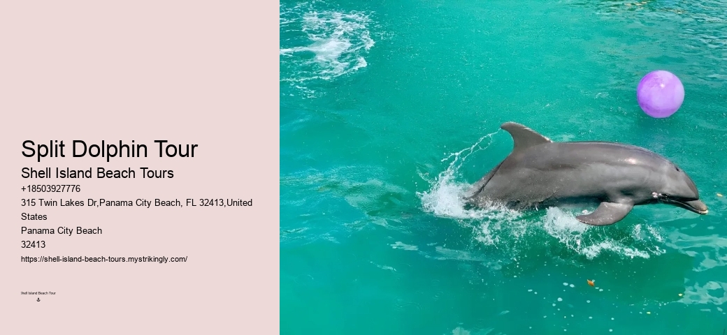 How long is the typical dolphin tour in Panama City Beach