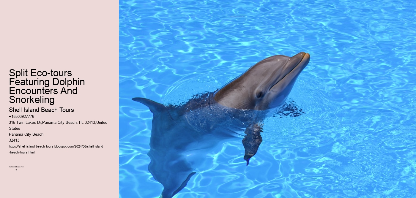 Split Eco-tours Featuring Dolphin Encounters And Snorkeling