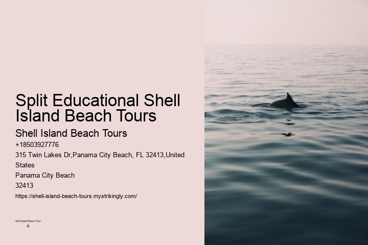 Split Charter Dolphin And Snorkeling Tours 2 Hours