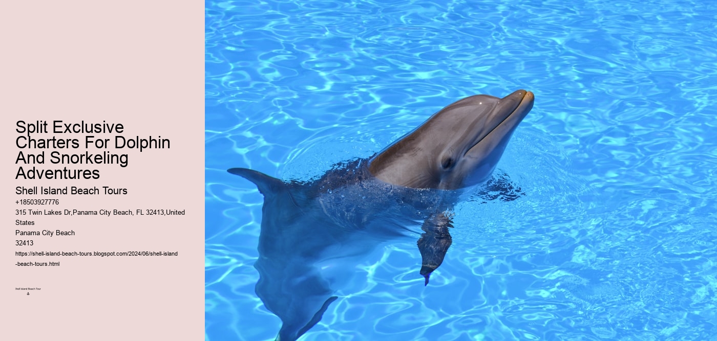 Split Exclusive Charters For Dolphin And Snorkeling Adventures