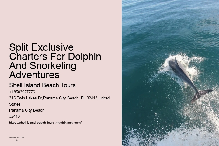 Snorkeling Tour