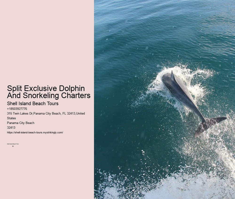 The Ugly Truth About Dolphin Shows