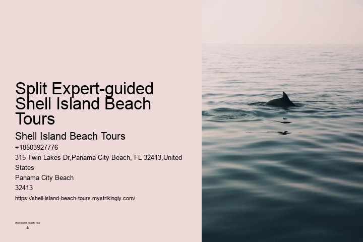 Before Your Tour - Dolphin Encounter