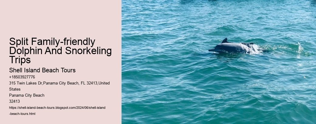 Split Family-friendly Dolphin And Snorkeling Trips