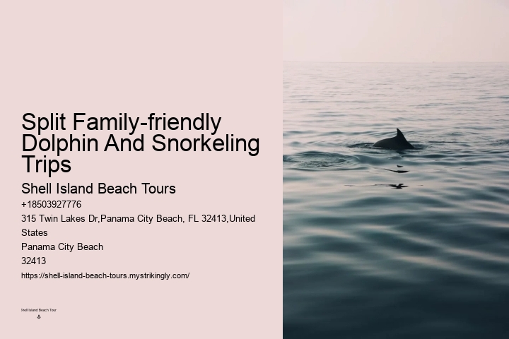 Are Dolphins At Panama City Beach