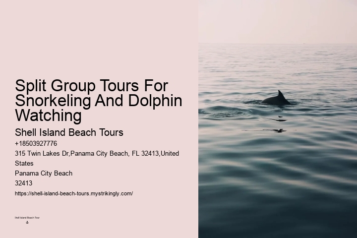 A Dolphin Swimming