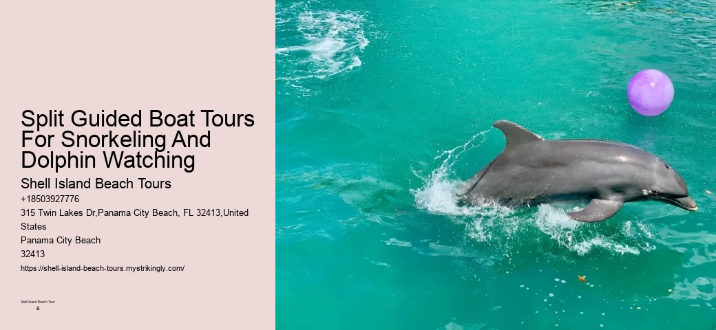 Dolphins Do Not Swim With People