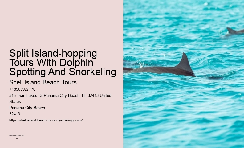 Individual Dolphin Expedition with Snorkeling