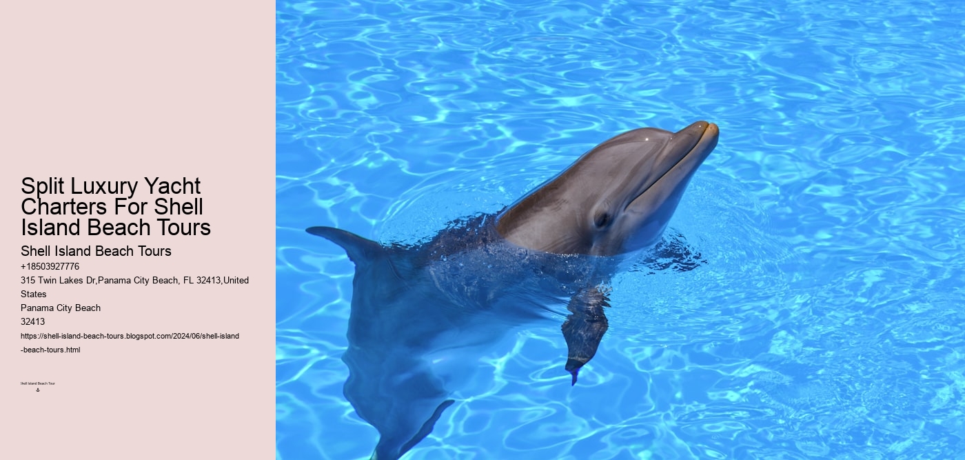 Split Luxury Yacht Charters For Shell Island Beach Tours