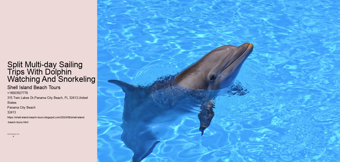 Split Multi-day Sailing Trips With Dolphin Watching And Snorkeling