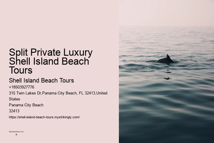 Dolphin & Snorkeling Tours Panama City Beach