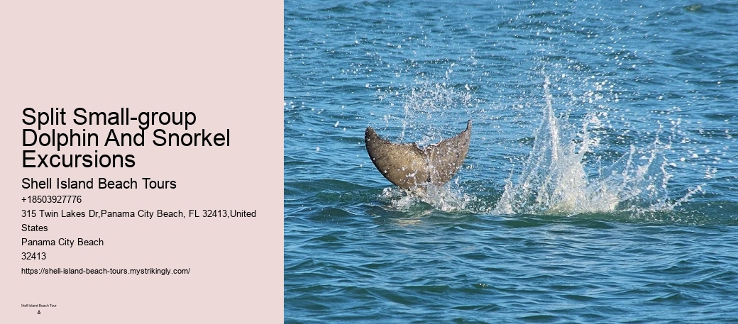 Beachfront dining