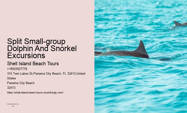 Split Island-hopping Tours With Dolphin Spotting And Snorkeling