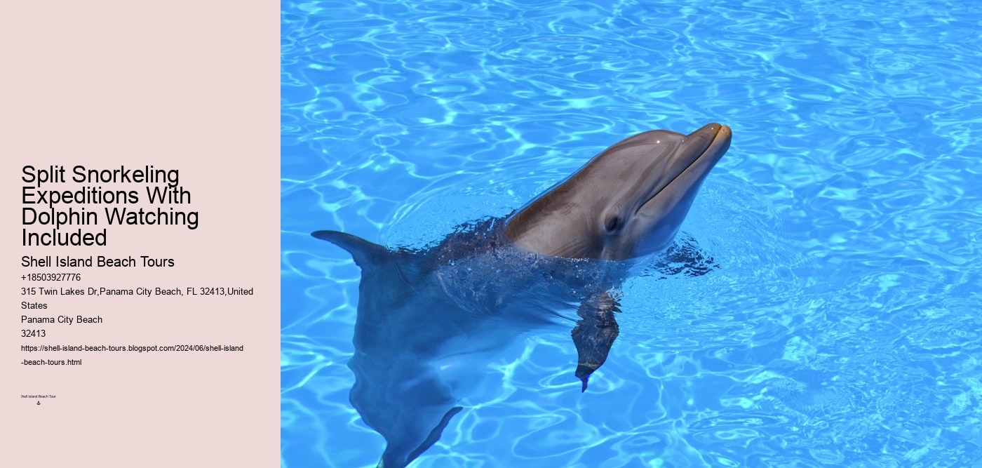 Split Snorkeling Expeditions With Dolphin Watching Included