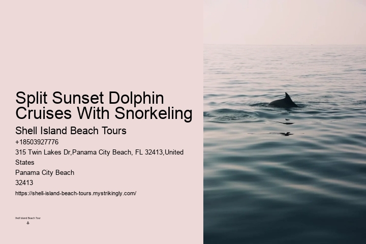 Deluxe Dolphin Encounter with Snorkeling