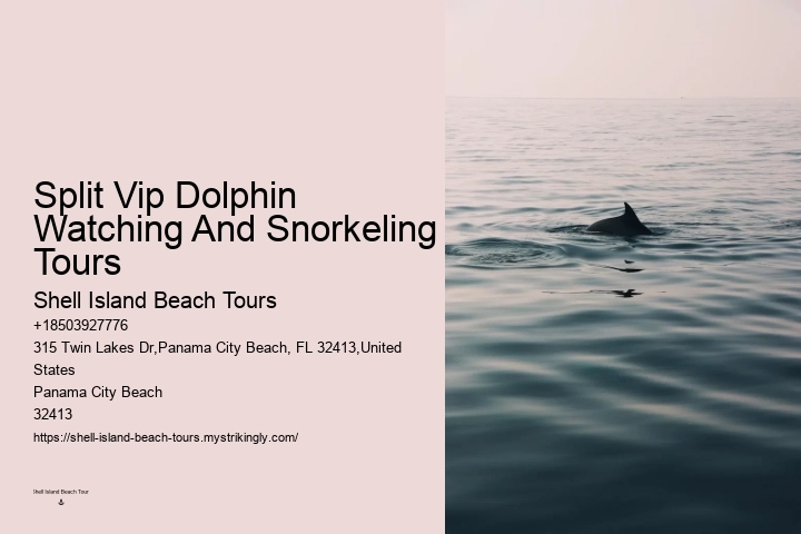 Panama City Beach Dolphin Cruises