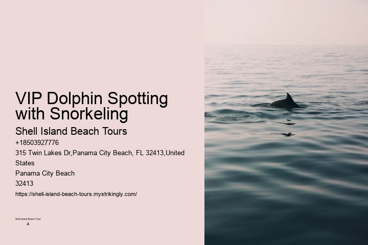 Luxury Dolphin Encounter with Snorkeling