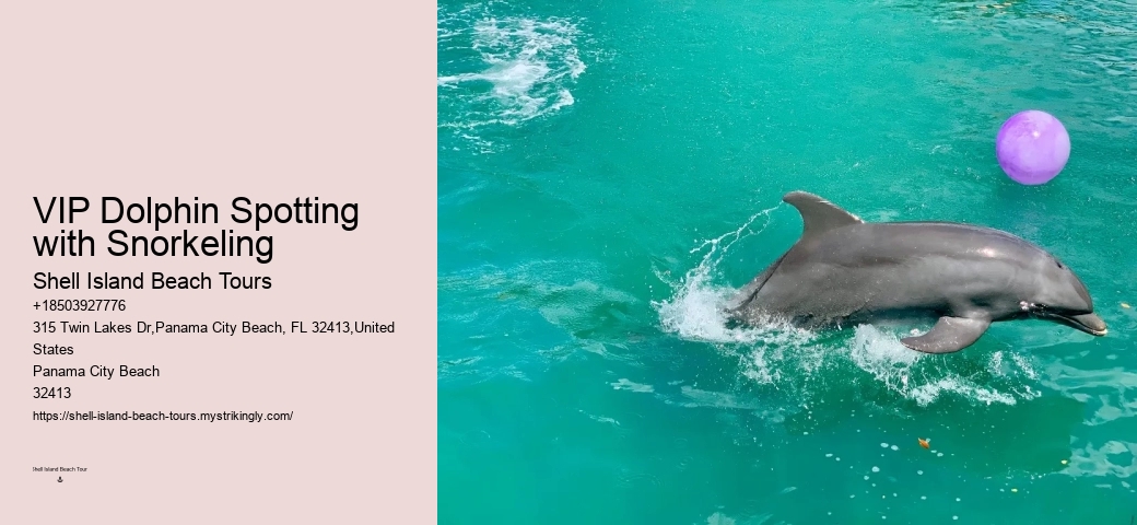 18 Best Places To Swim With Dolphins