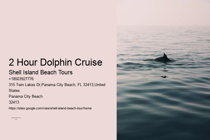 Bespoke Dolphin Spotting and Snorkeling Tours