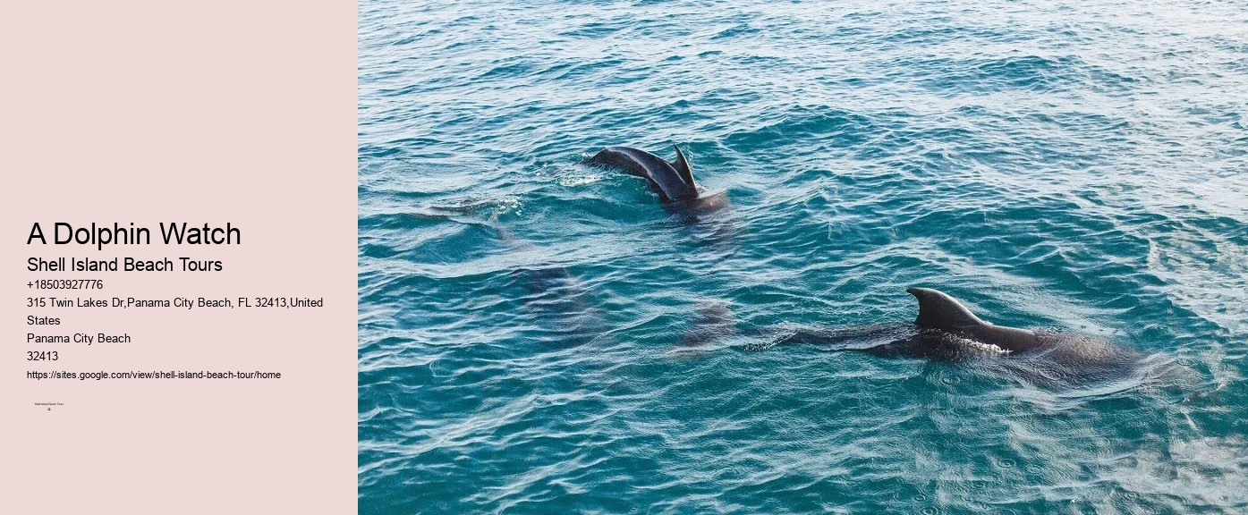 How To Catch Fish Even When Dolphins Are Around