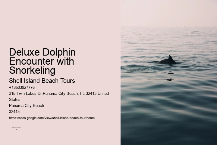Split Exclusive Dolphin And Snorkeling Charters