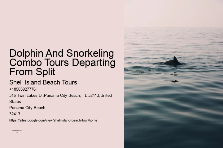 PCB Dolphin Spotting Cruises