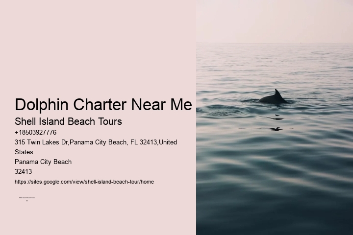 Panama City Beach Dolphin Experience Tours