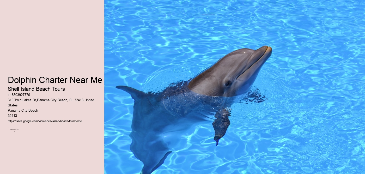 Dolphin Charter Near Me