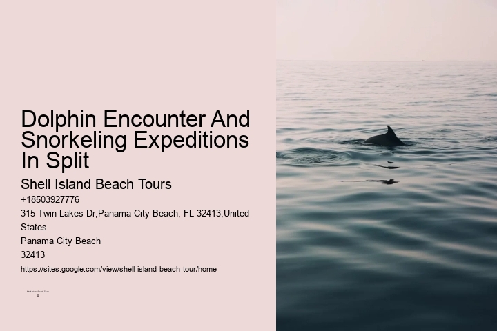 What Predator Kills Dolphins