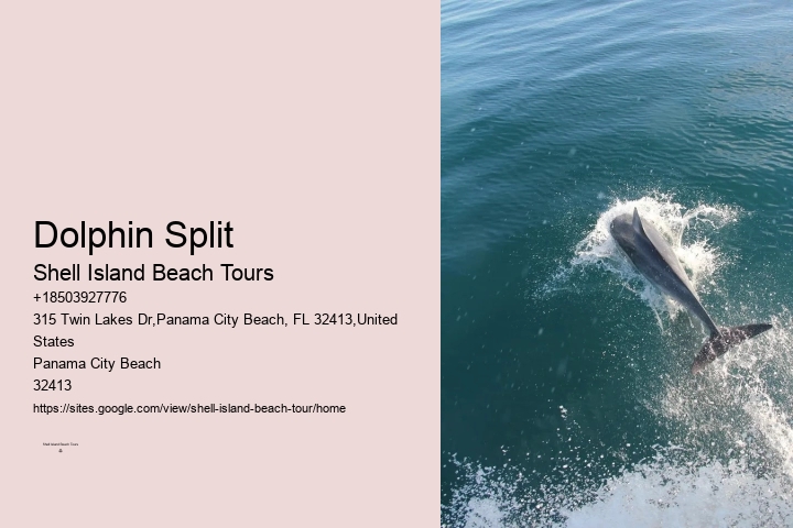 Panama City Beach Speed Boat Tour