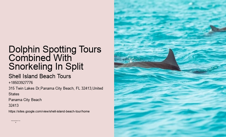 Intimate Dolphin Exploration and Snorkeling