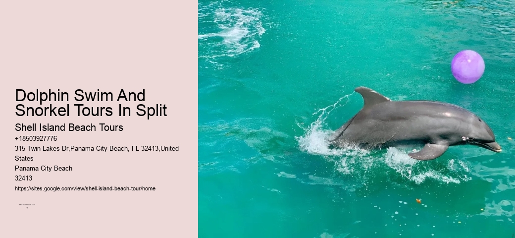 Panama City Beach Dolphin Swim Adventure