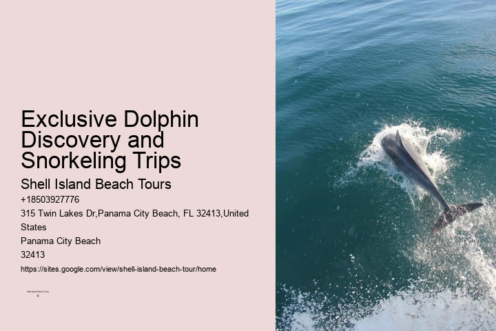 Panama City Beach dolphin boat trips