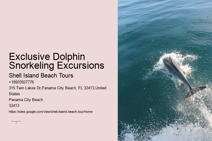 Split Adventure Tours Including Dolphin Watching And Snorkeling