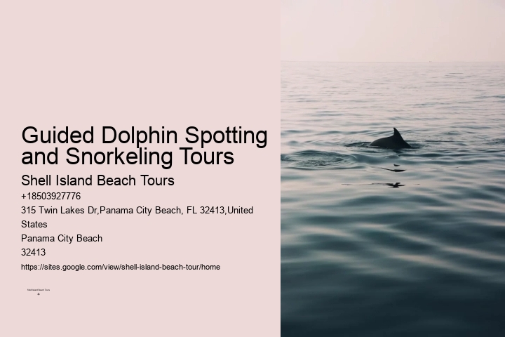 Come Swim With The Dolphins