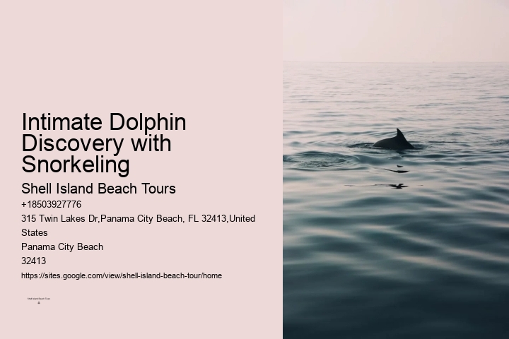 Dolphin Boat Adventures in PCB