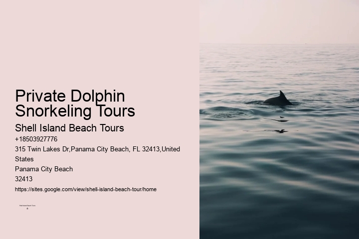 Blue Dolphin Tours Panama City Beach