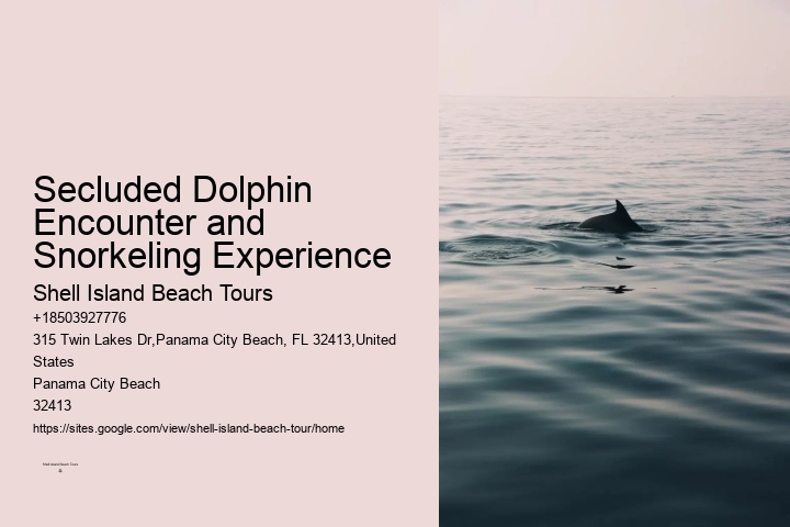 Private Dolphin