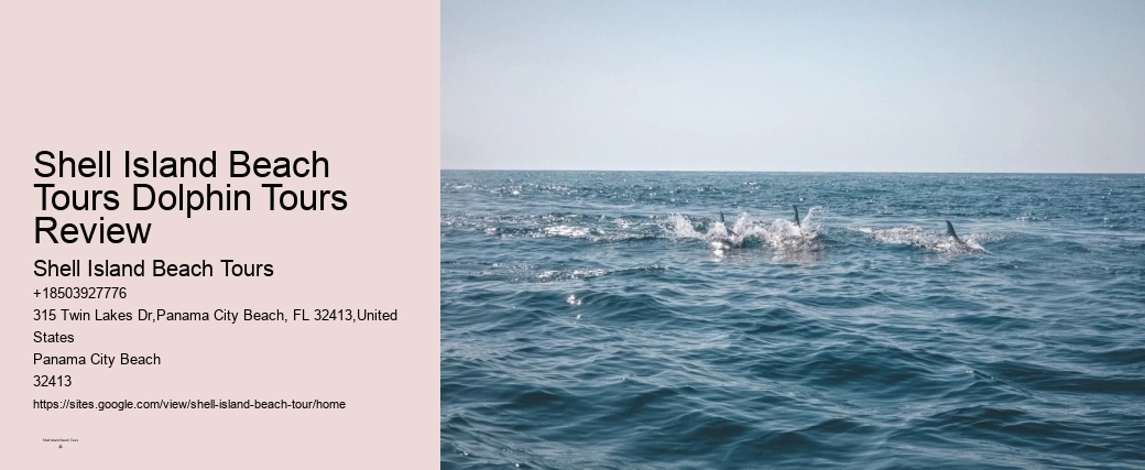 Do You Know Why Dolphins Swim Beside Ships
