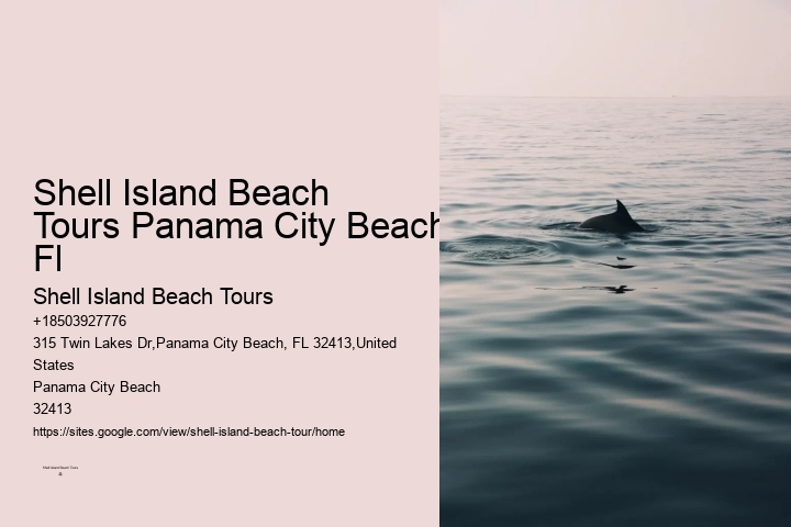 What To Do If A Dolphin Is Stranded On A Beach