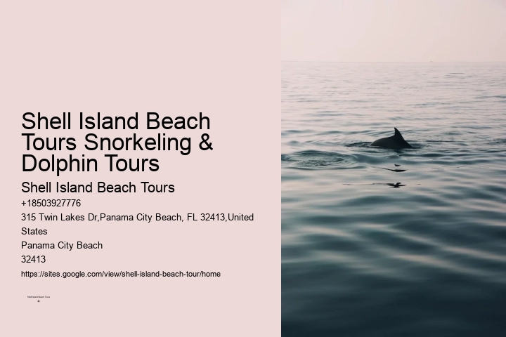 Dolphin Boat Snorkeling Tours In Panama City Beach